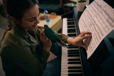 Tutkuyla piyano çalan ve eğlenen genç bir kadın. Papağan evdeyken bir anı yakalıyor.. 