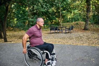 Tekerlekli sandalyedeki bir adam yemyeşil ağaçlarla çevrili huzurlu bir park yolunu keşfediyor.. 