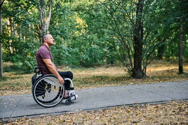 Tekerlekli sandalyedeki bir adam yemyeşil ağaçlarla çevrili huzurlu bir park yolunu keşfediyor.. 