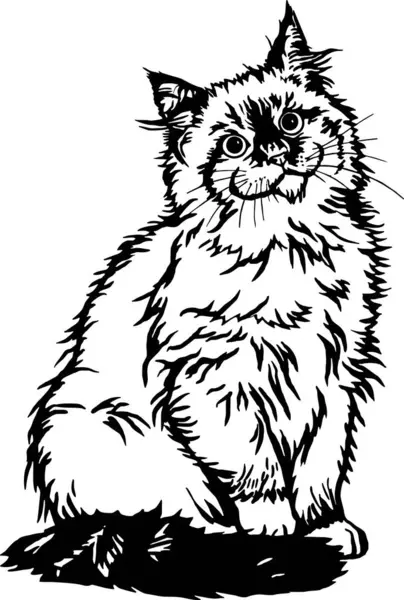 Кошка Подглядывающий Котенок Веселый Котенок Изолированный Белом Векторная Иллюстрация Лицензионные Стоковые Векторы