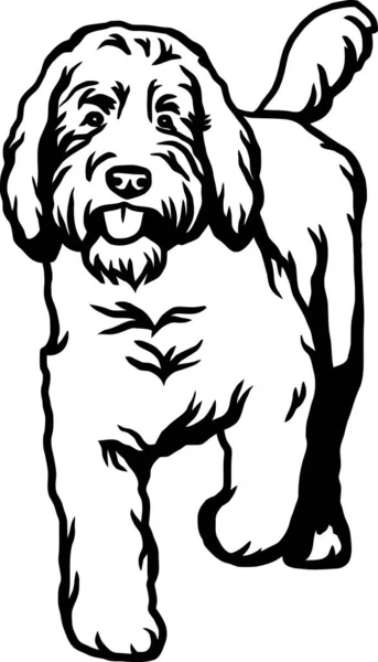 Goldendoodle 犬のブレッド おかしい犬のベクトルファイル カットステンシル 詳細なベクター — ストックベクタ