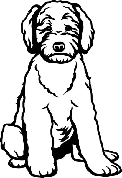 Goldendoodle Hund Ras Rolig Hund Vektor Fil Klipp Stencil Detaljerad Vektorgrafik