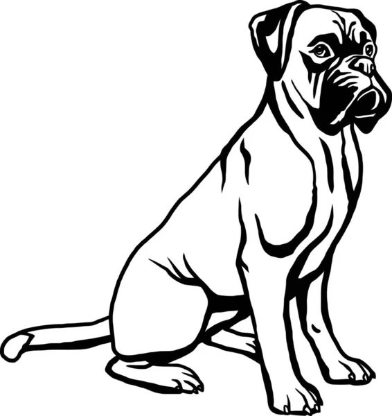 ボクサー 犬の醸造 おかしい犬のベクトルファイル カットステンシル 詳細なベクター — ストックベクタ