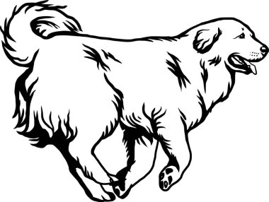 Büyük Pireneler - Köpek Yetiştirme, Komik Köpek Vektör Dosyası, Kalıbı Kes, Ayrıntılı Vektör