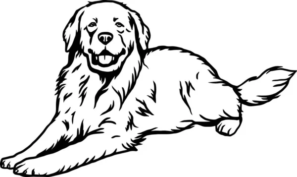 グレートピレネス 犬の醸造 おかしい犬のベクトルファイル カットステンシル 詳細なベクター — ストックベクタ