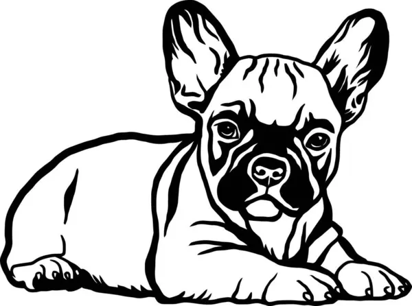 Bulldog Francês Raça Cão Arquivo Vetor Cão Engraçado Estêncil Corte — Vetor de Stock