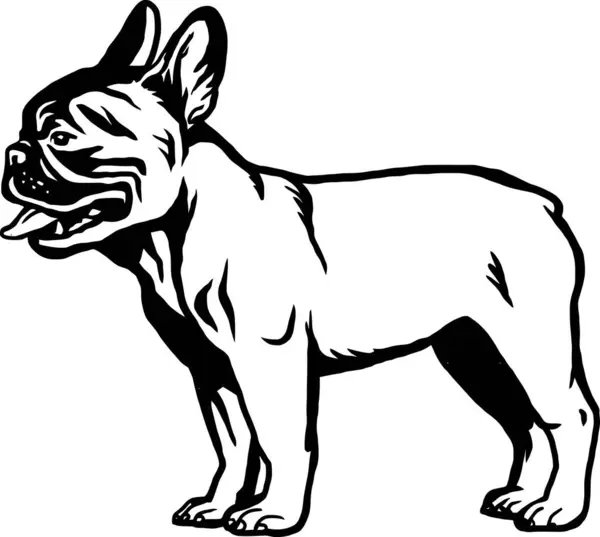 Franse Bulldog Hondenras Grappige Hond Vectordossier Snijsjabloon Gedetailleerde Vector Rechtenvrije Stockillustraties