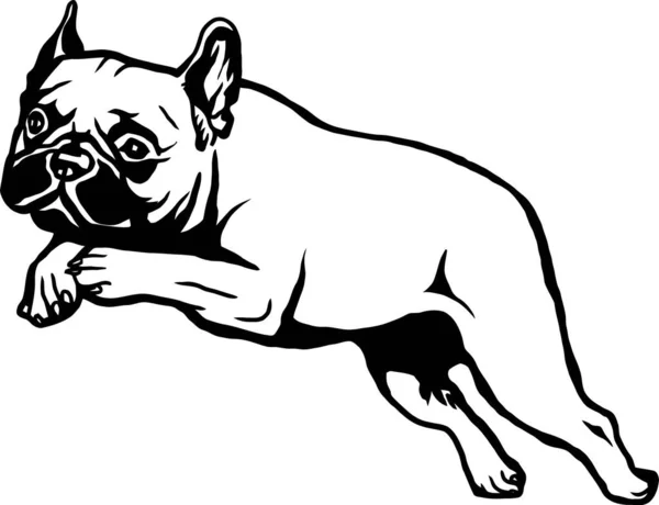 Buldog Francuski Rasa Psów Funny Dog Vector File Cut Stencil Wektor Stockowy