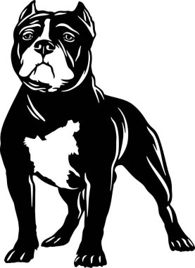 American Bully - Dog Breed, Funny Dog Vector File, Cut Stencil, Detaylı Vektör