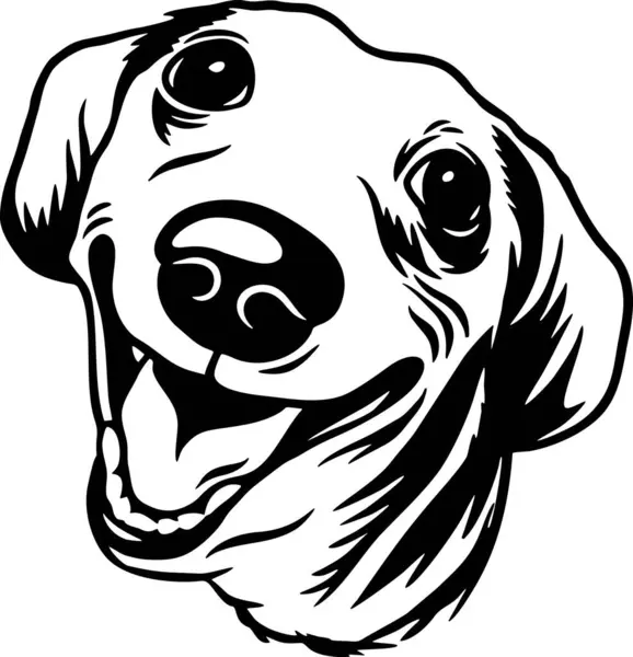 Dachshund Cães Engraçados Vetor Detalhado Pet Vector Portrait Estêncil Silhueta —  Vetores de Stock