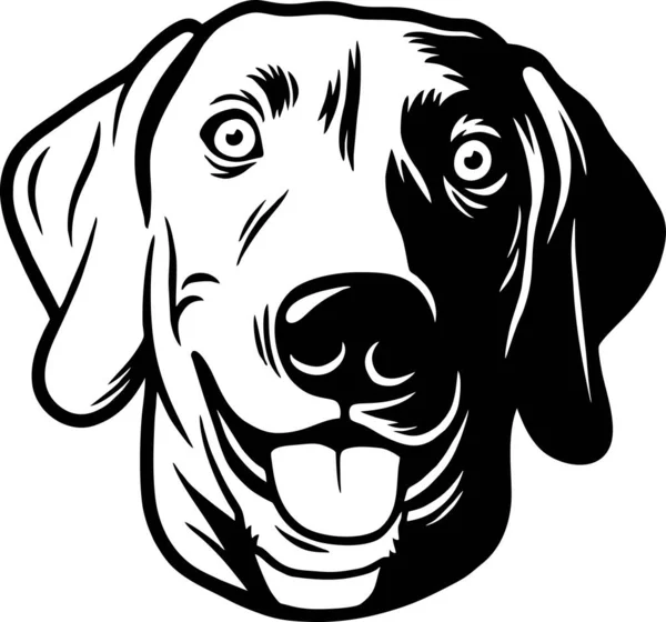 Weimaraner Cães Engraçados Vetor Detalhado Retrato Vetor Animal Estimação Estêncil —  Vetores de Stock