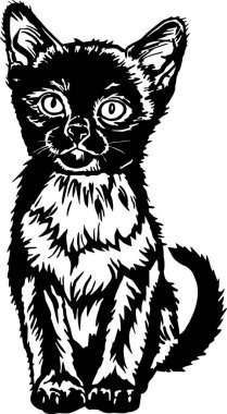 Birmanya kedisi, Şirin Kedi - Beyaz üzerine izole edilmiş neşeli kedi - vektör stok çizimi