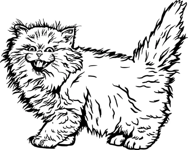 Brytyjski Longhair Kot Cute Kitten Wesoły Kotek Izolowany Białym Wektor — Wektor stockowy