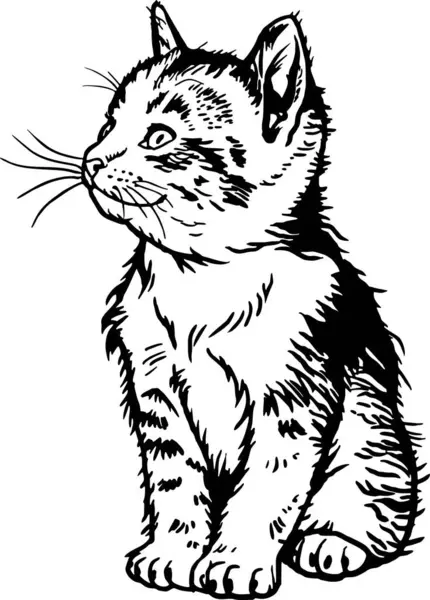 Gato Doméstico Lindo Gatito Gatito Alegre Aislado Blanco Vector Ilustración — Archivo Imágenes Vectoriales