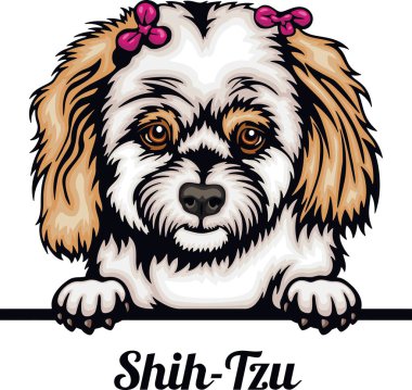 Shih-Tzu - Renkli Dikizci Köpekler - Üreyen yüz beyaz vektör stoğunda izole edilmiş -