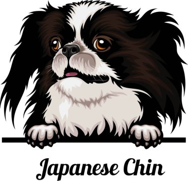 Japon Çenesi - Renkli Dikizci Köpekler - Yüzü beyaza izole edilmiş - vektör stoku