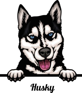 Husky - Renkli Dikizci Köpekler - Üreyen kafa beyaz - vektör stoku