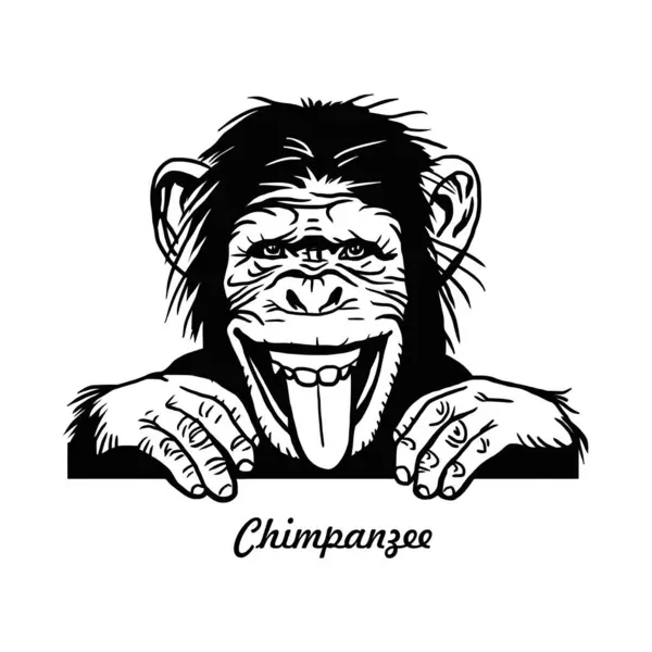 Peeking Monkey Comic Animal Funny Animal Wildlife Stencil Vector Clipart Rechtenvrije Stockillustraties