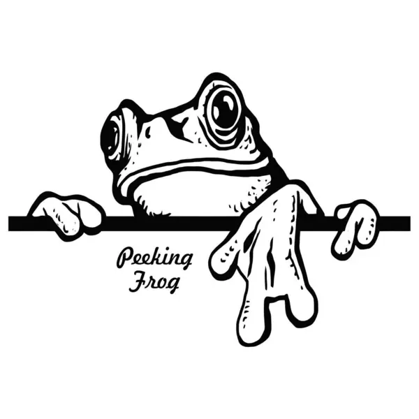 Peeking Frog Animale Fumetti Animale Divertente Stencil Fauna Selvatica Stock Vettoriale Stock