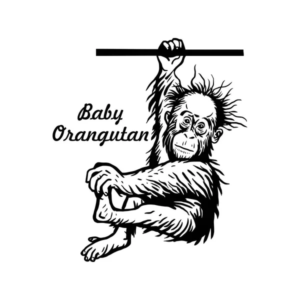 Baby Chimpancé Svg Comic Animal Svg Divertido Animal Wildlife Stencil Gráficos Vectoriales