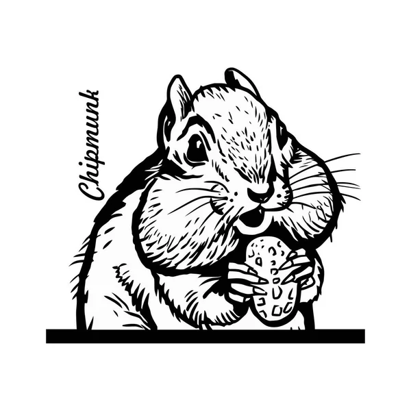 Chipmunk Comic Animal Funny Animal Wildlife Stencil Vektor Clipart Stock Royaltyfria Stockvektorer