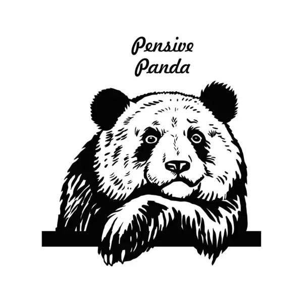 Panda Seriedjur Roligt Djur Vilt Stencil Vektor Clipart Stock Vektor Vektorgrafik