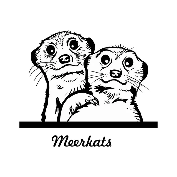 Meerkats Comic Animal Funny Animal Wildlife Stencil Wektorowe Clipart Stock Wektory Stockowe bez tantiem