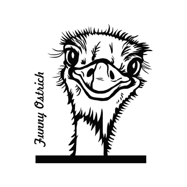 Peeking Ostrich Comic Animal Funny Animal Wildlife Stencil Vektor Előfizetői Vektor Grafikák