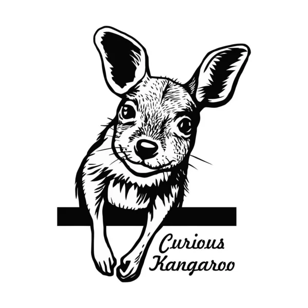 Peeking Kangaroo Comic Animal Funny Animal Άγρια Φύση Stencil Vector Διανυσματικά Γραφικά