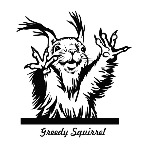 Peeking Squirrel Comic Animal Funny Animal Άγρια Φύση Stencil Vector Εικονογράφηση Αρχείου