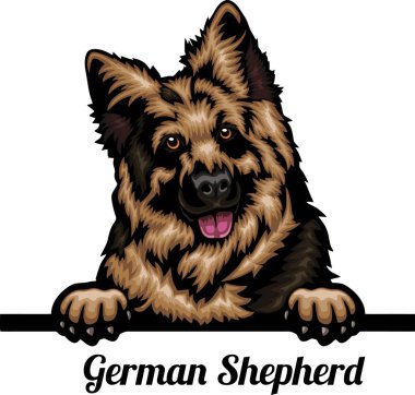 Alman Çoban Köpekleri - Renkli Dikizci Köpekler - Yüzü beyaza izole edilmiş - vektör stoku