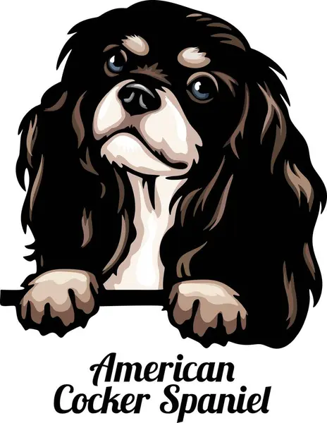 American Cocker Spaniel Color Peeking Dogs Cabeça Rosto Raça Isolada Gráficos Vetores
