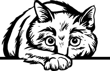 Röntgenci Kedi - Komik Kedi - Yüzü beyaz arka planda izole