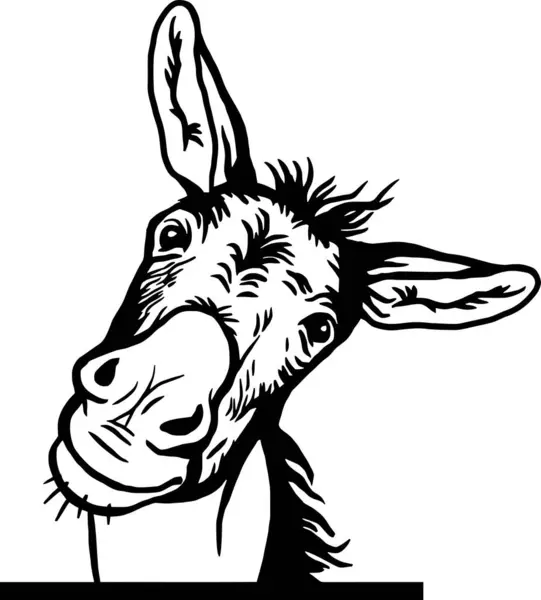 Kika Donkey Rolig Peek Animal Ansikte Huvudet Isolerat Vit Bakgrund Stockvektor