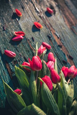 Sanat soyut arkaplan ve bahar ıslak laleler ahşap dizayn için