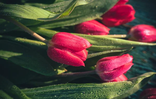 Arte Astratta Sfondo Con Primavera Tulipani Bagnati Legno Design — Foto Stock
