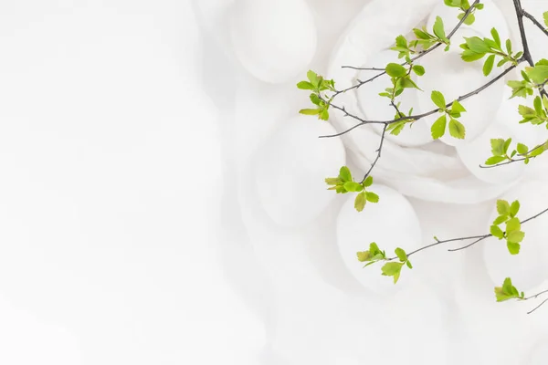 白い卵と緑の小枝とイースターの背景 — ストック写真