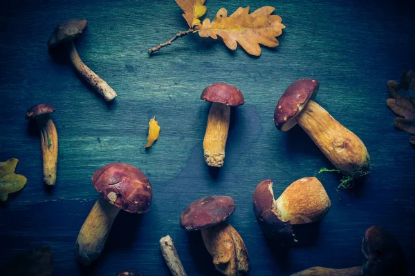 秋の背景青い木の板にカールと秋の贈り物 — ストック写真