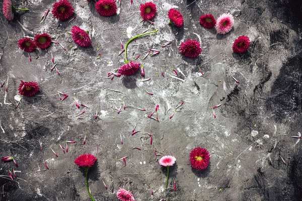 Fondo Abstracto Arte Con Flores Primavera Sobre Fondo Pictórico —  Fotos de Stock