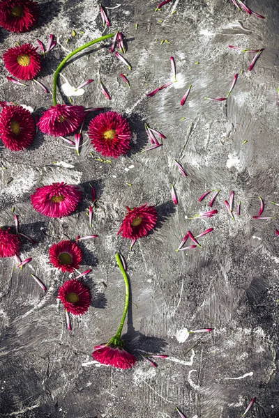 Kunst Abstracte Achtergrond Met Lentebloemen Een Schilderachtige Achtergrond — Stockfoto