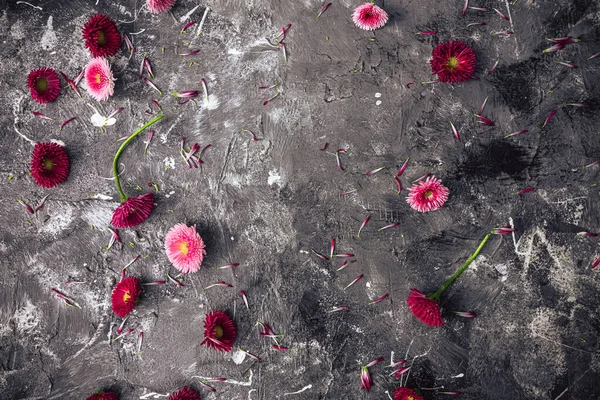 灰色の絵の背景にデイジーの花とアート抽象的な背景 — ストック写真