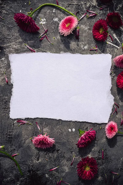 带有雏菊和白纸的艺术灰色背景 — 图库照片