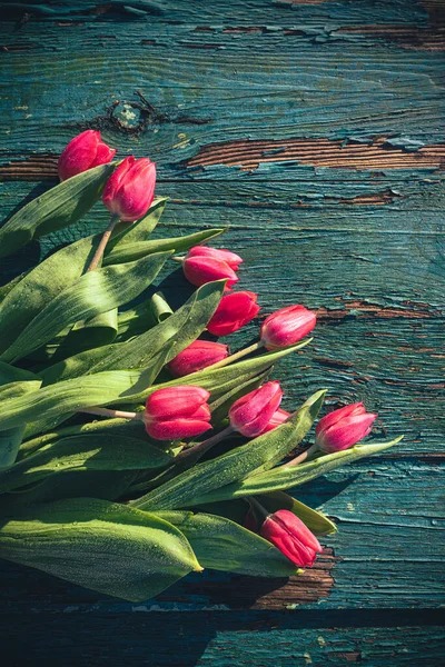 Fond Printemps Avec Des Fleurs Tulipes Humides Sur Bois — Photo