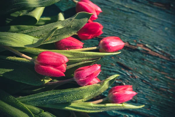 Tło Wiosna Mokrych Kwiatów Tulipanów Drewnianych — Zdjęcie stockowe