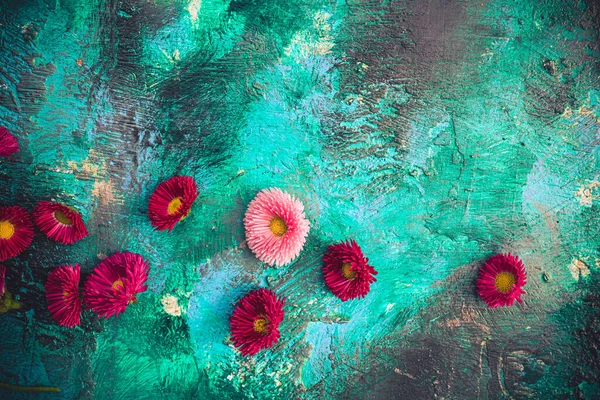 Fleurs Marguerite Sur Fond Vert Peint — Photo