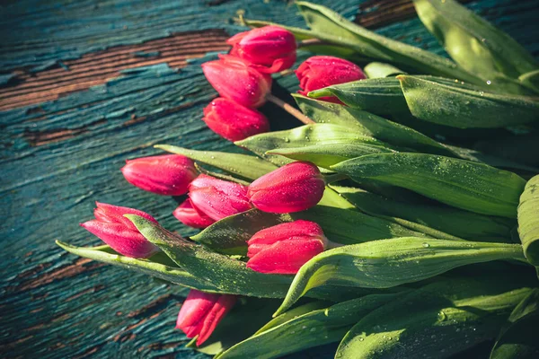 Hintergrund Frühling Mit Nassen Tulpenblüten Auf Hölzernen lizenzfreie Stockfotos