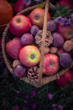 Sonbahar meyveleriyle dolu bir sepet.