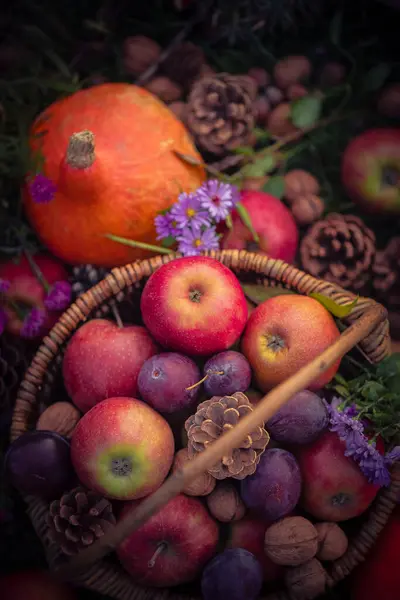 Ein Korb Mit Herbstfrüchten Von Oben Gesehen lizenzfreie Stockfotos