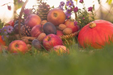 Çimlerde meyve sepeti ve batan güneş.