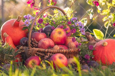 Çimlerde meyve sepeti ve batan güneş.
